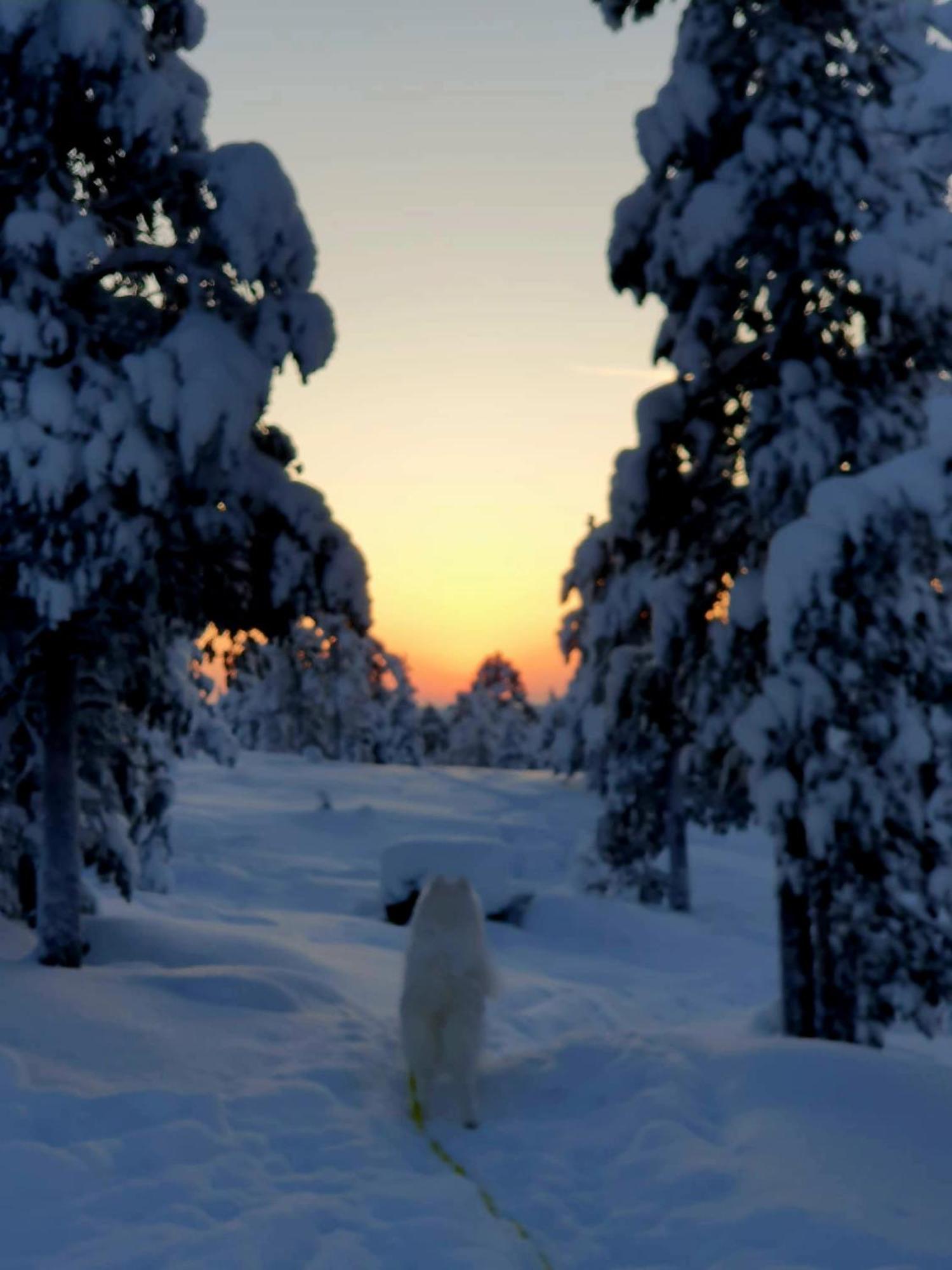 Make Yourself At Home Rovaniemi Buitenkant foto